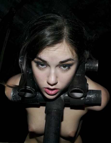 Sasha Grey porno hd galerien