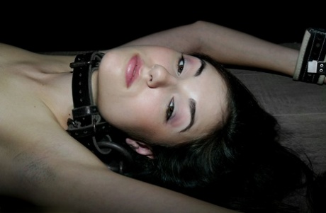 Sasha Grey nackt bilder